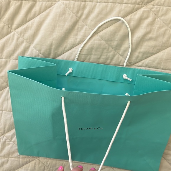 Tiffany & Company Shopping Gift Bag tote - Picture 10 of 16